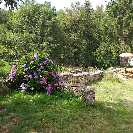 Gite Moulin De Ludieras Busserolles Exterior photo